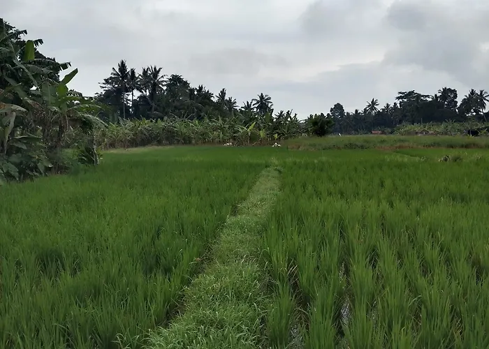 Villa Tenang