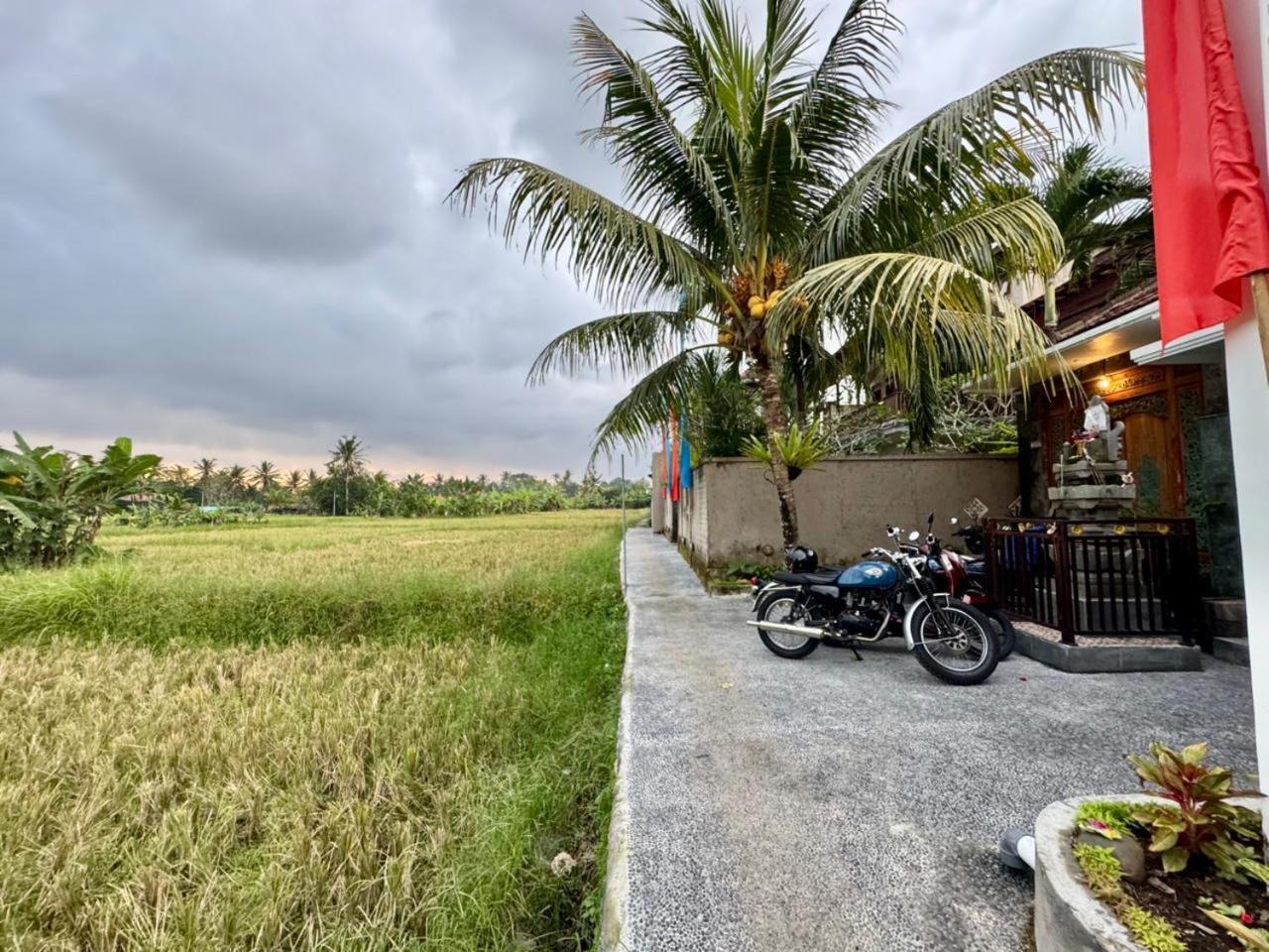 Tenang * Ubud
